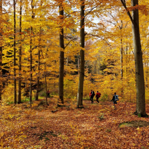 04.12.2025 Ścieżka przyrodnicza - Bratkowice